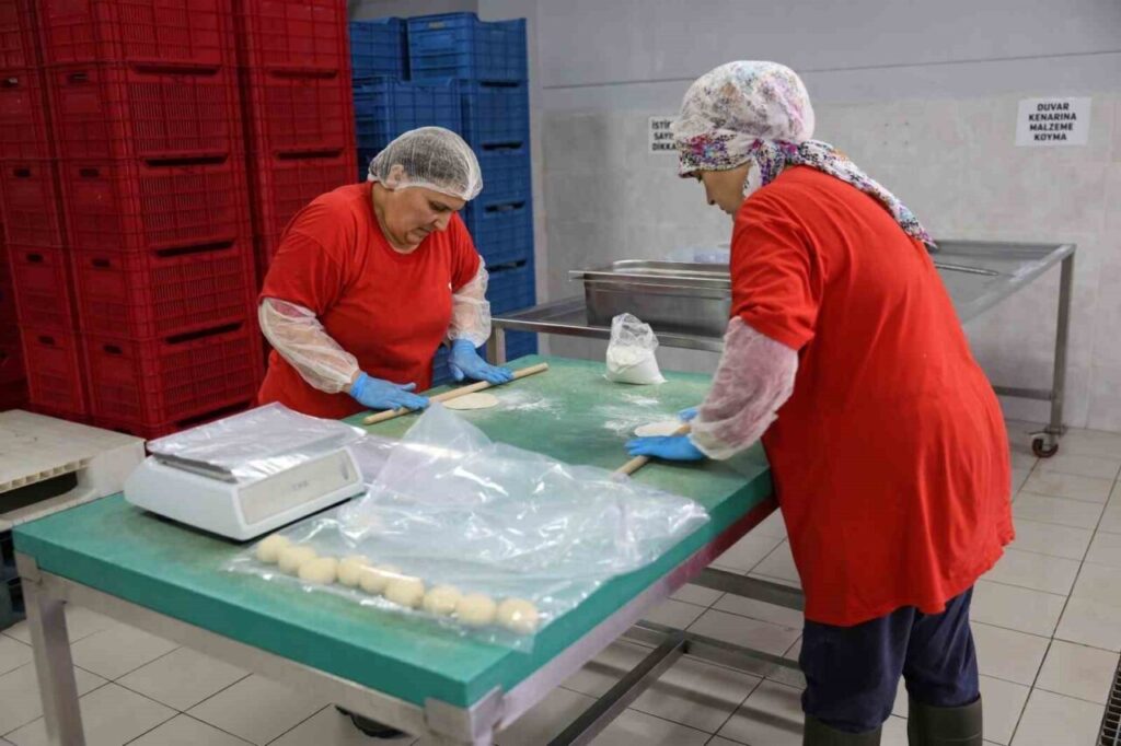 Tarımsal Ürün Fabrikası ile kadınlar üretiyor Efeler kazanıyor 2 tarimsal urun fabrikasi ile kadinlar uretiyor efeler kazaniyor e27681c47597