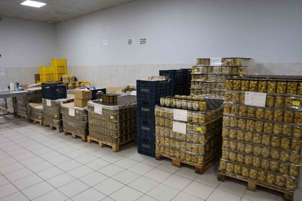 Tarımsal Ürün Fabrikası ile kadınlar üretiyor Efeler kazanıyor 5 tarimsal urun fabrikasi ile kadinlar uretiyor efeler kazaniyor f6544d1a15f8