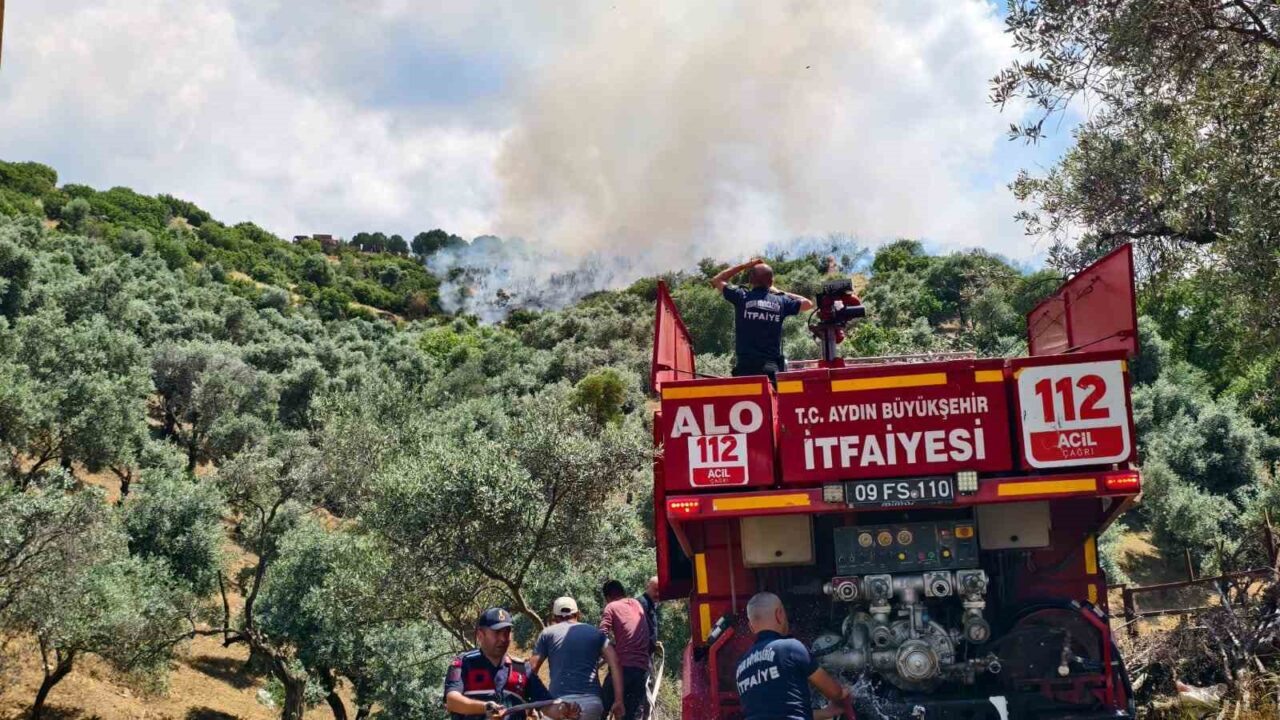 Yenipazar’daki otluk alan yangını kontrol altına alındı