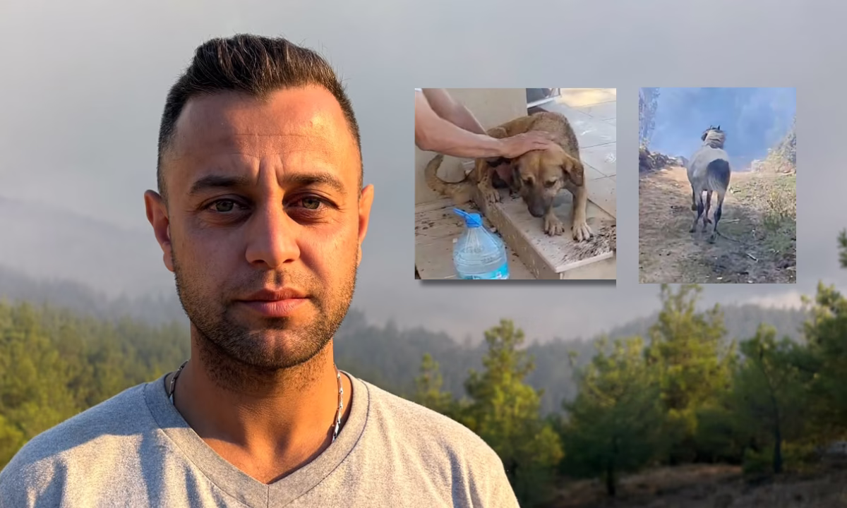 Yangında alevlerin arasında kalan at ve köpeği kurtardı! 1 Yangında alevlerin arasında kalan at ve köpeği kurtardı!