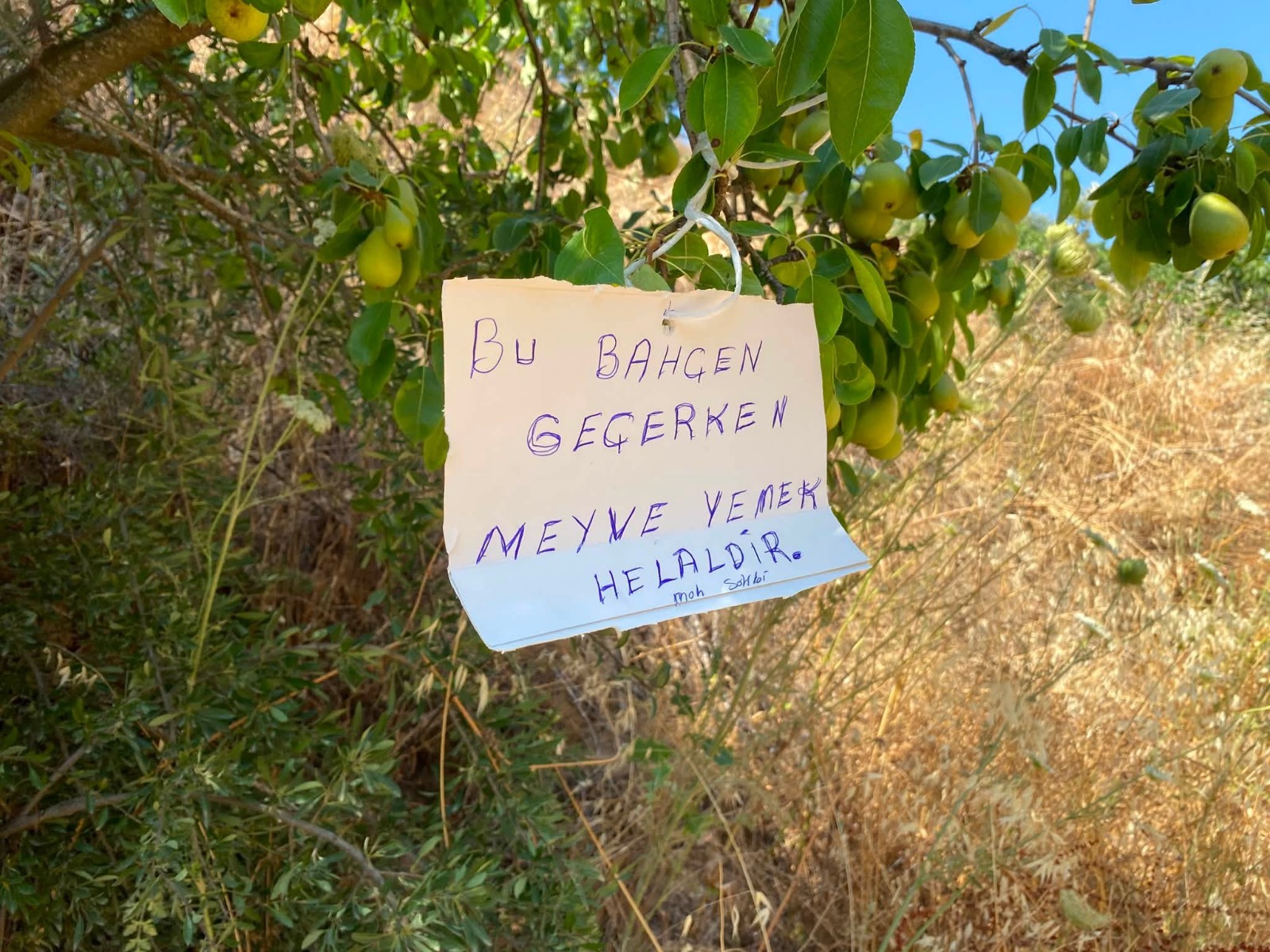 Bahçesine astığı not takdir topladı, “Geçerken meyve yemek helaldir”