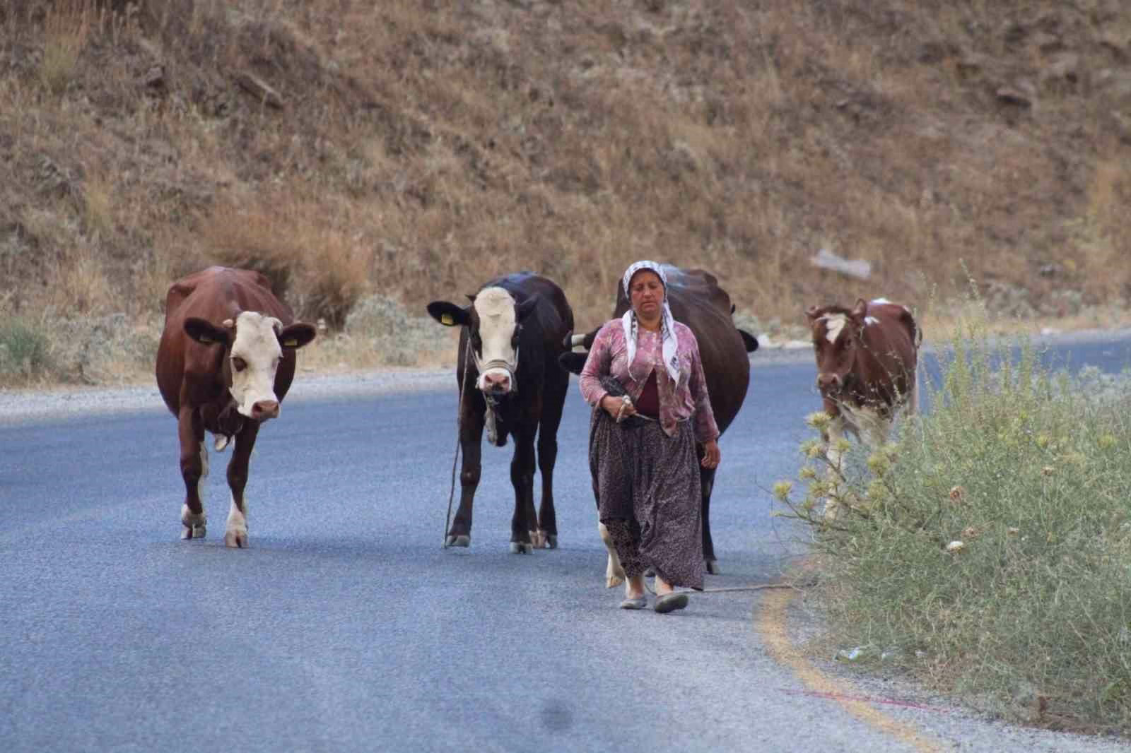 alevlerden kactilar hayvanlarini ve kendi canlarini zor kurtardilar f5e57a049c41