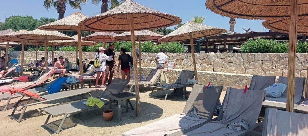 Aydın’ın Kuşadası ve Didim kıyılarında caretta hareketliliği 2 aydinin kusadasi ve didim kiyilarinda caretta hareketliligi a4882814577f