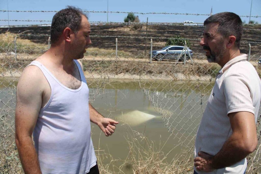 aydinin pelerinsiz kahramani anne ve cocuklarini kurtardi c2d84d0fb091