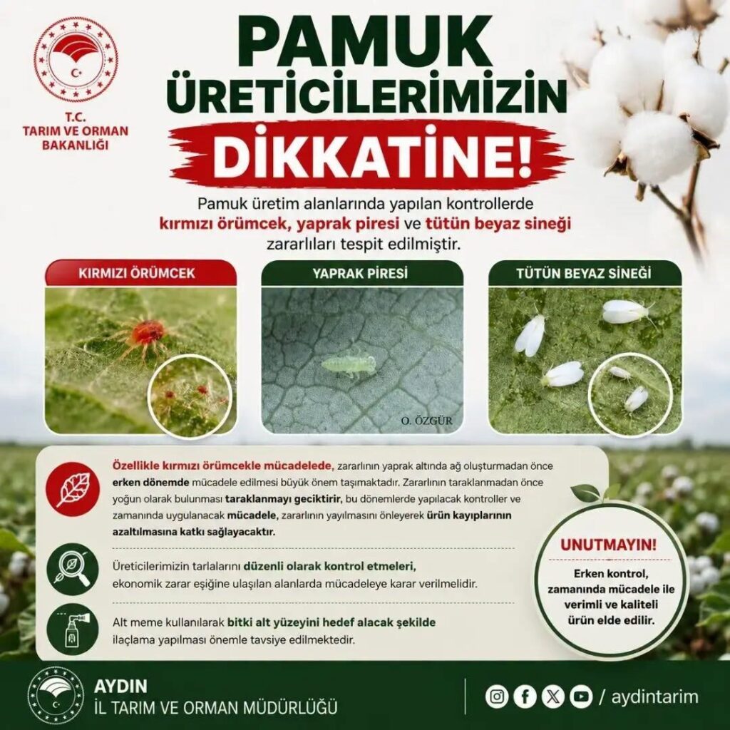 Aydınlı pamuk üreticilerine zararlı uyarısı 2 aydinli pamuk ureticilerine zararli uyarisi 8a2b3f736d4f