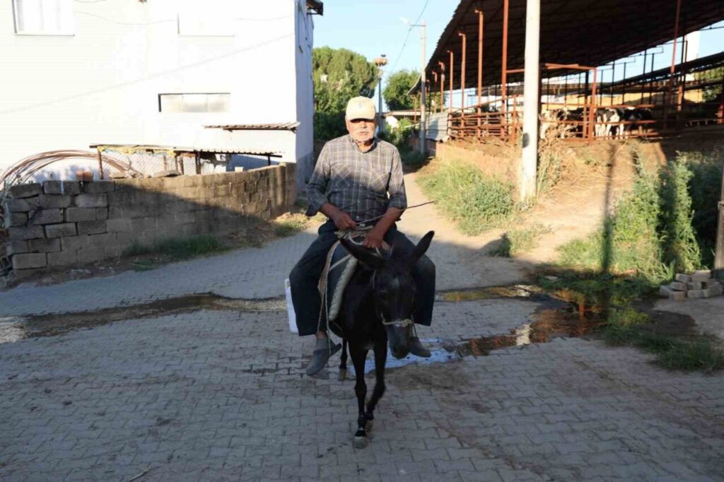 ayhan amca yokluktan degil surucu belgesi olmadigindan esegi ile servis yapiyor c7422a7ecfde