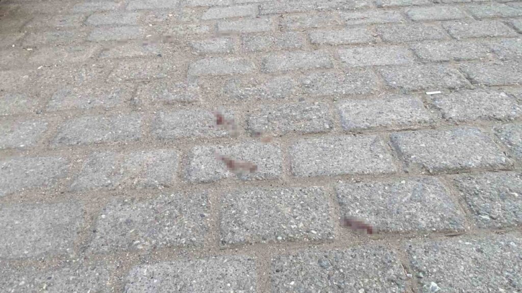 bosanma asamasindaki damat kayinpederi tarafindan tufekle vuruldu 2721e31f5922