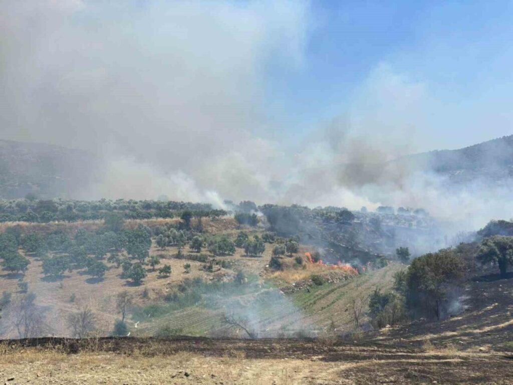bozdogan belediyesinden yangin bolgesine destek cagrisi 6fc39c227850