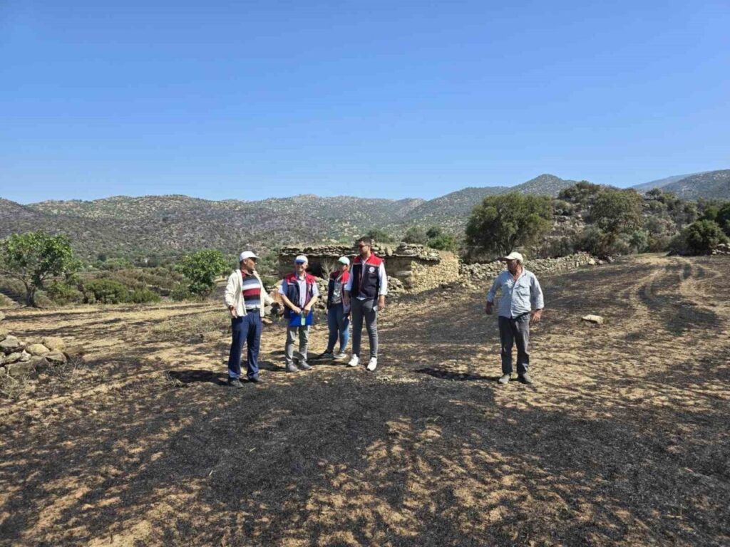 Bozdoğan’daki yangının ardından hasar tespit çalışmaları başladı 4 bozdogandaki yanginin ardindan hasar tespit calismalari basladi aca5597ad6e3