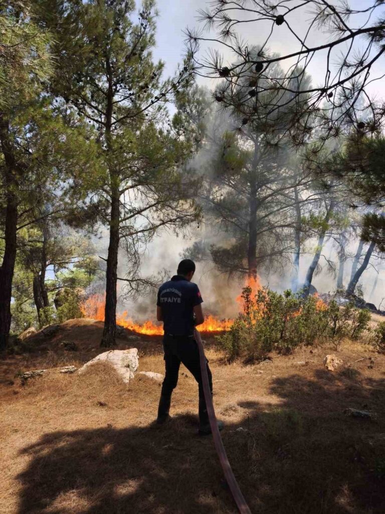 buyuksehir itfaiye uc gunde 176 yangina mudahale etti 3c7bdc036ada