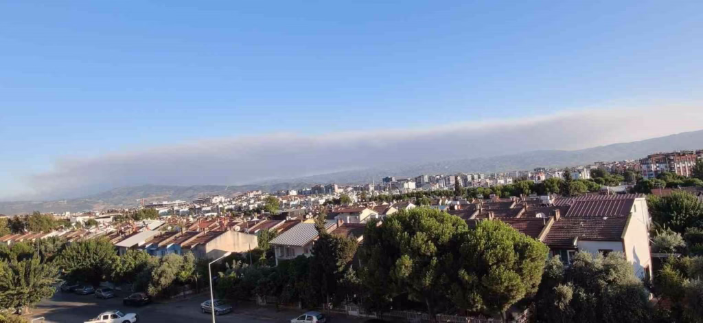 Çine'deki yangının dumanları Efeler’e ulaştı 2 cine yanginin dumanlari efelere ulasti 2f02f03a46e7