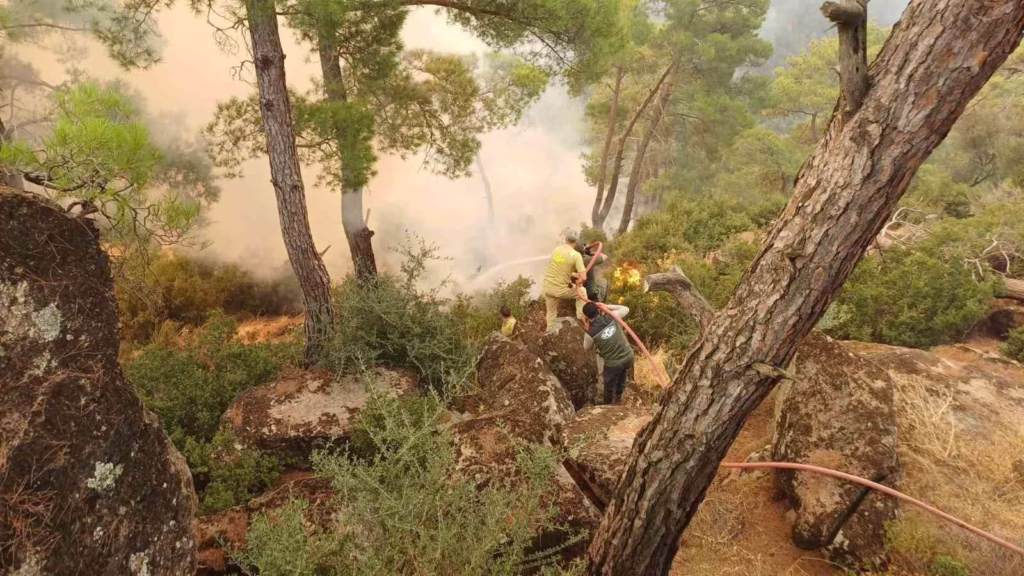 cine yanginina mudahale ikinci gunde suruyor a52f9e1d7d37