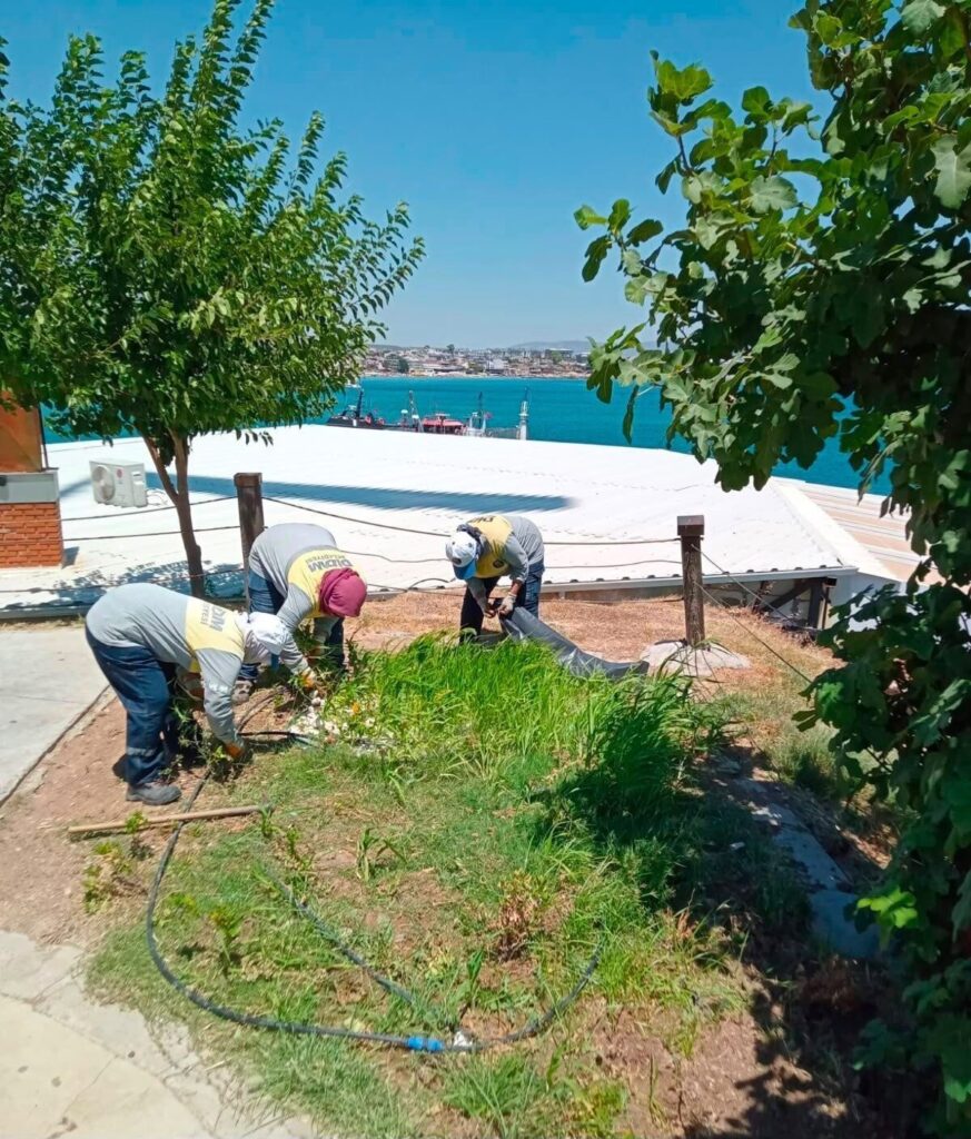 didim belediyesi fidanliginda uretim buyuyor c80e471ed2bc