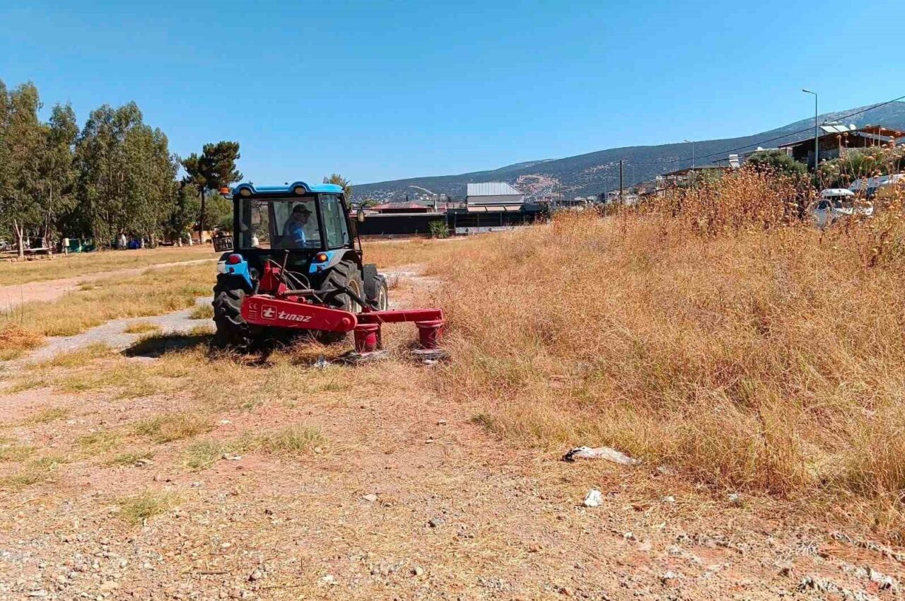 Didim Belediyesi kent genelindeki bakım çalışmalarını aralıksız sürdürüyor 1 didim belediyesi kent genelindeki bakim calismalarini araliksiz surduruyor 6ff53fc815af