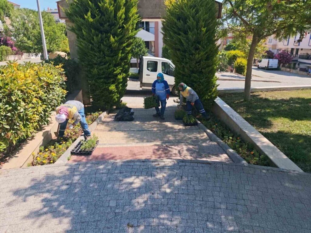 Didim Belediyesi’nin kendi üretimi çiçekler toprakla buluşuyor 4 didim belediyesinin kendi uretimi cicekler toprakla bulusuyor 57999420d41a