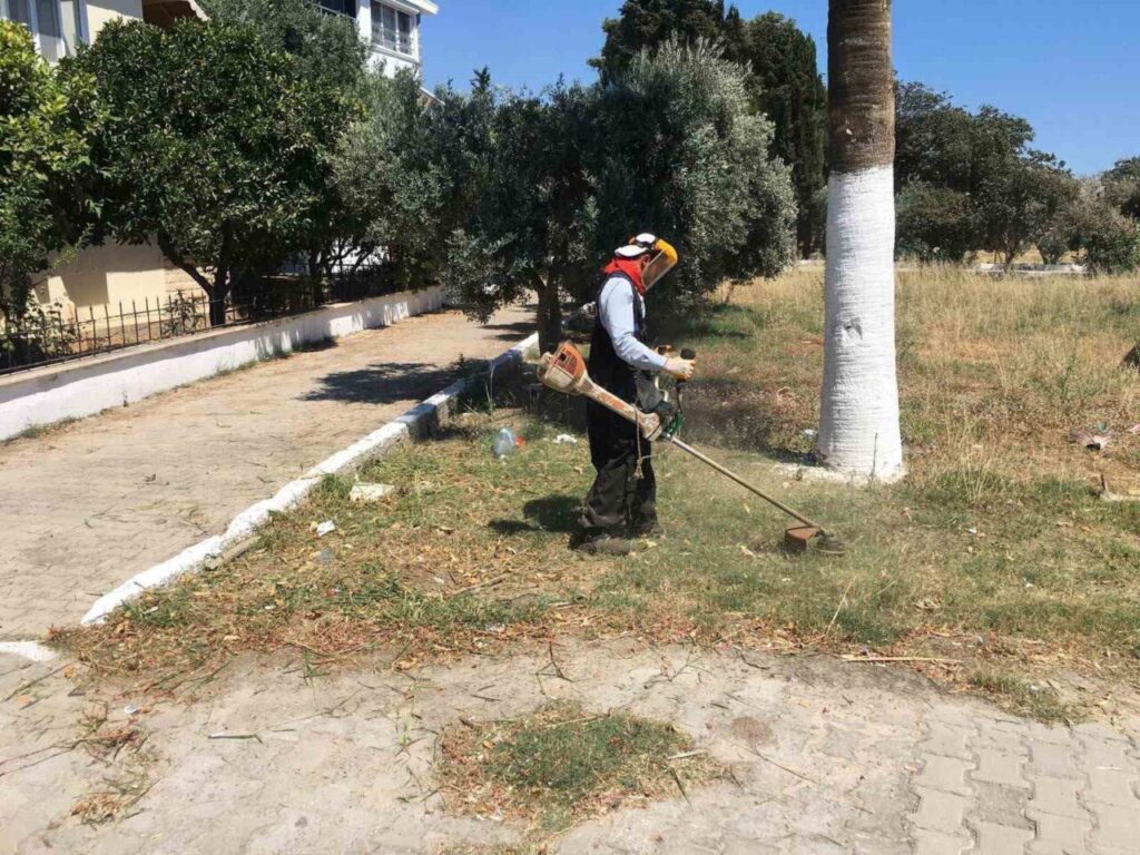Didim Belediyesi’nin kendi üretimi çiçekler toprakla buluşuyor 2 didim belediyesinin kendi uretimi cicekler toprakla bulusuyor a35763c87c36