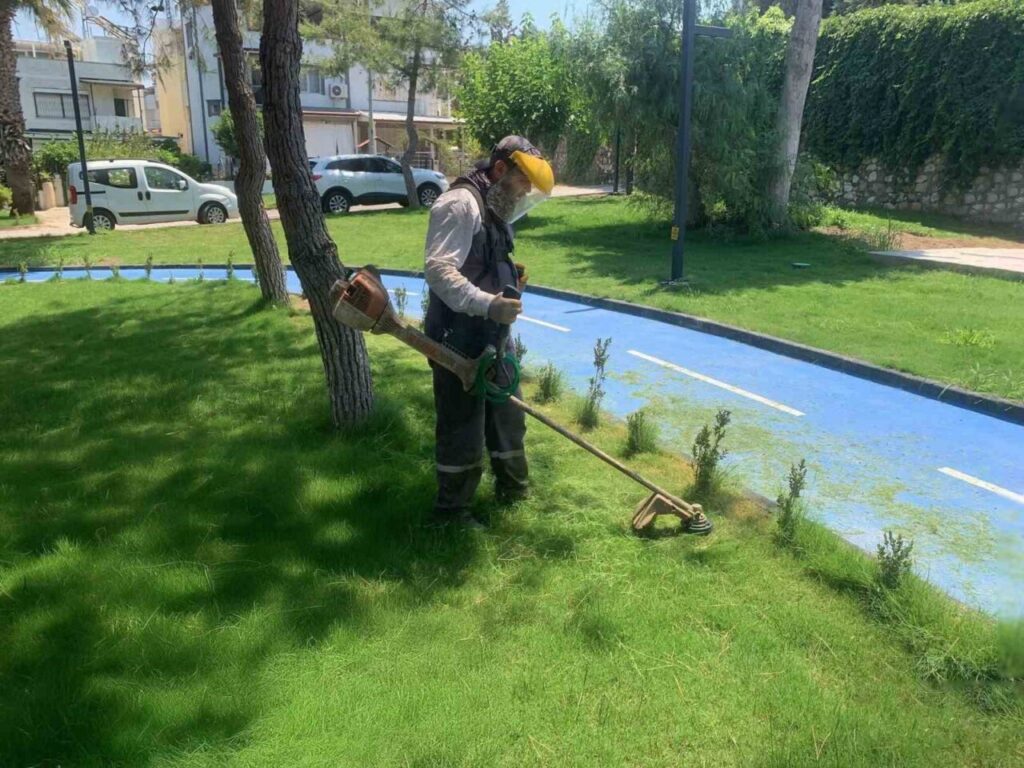 Didim Belediyesi’nin kendi üretimi çiçekler toprakla buluşuyor 3 didim belediyesinin kendi uretimi cicekler toprakla bulusuyor d2c511335b23