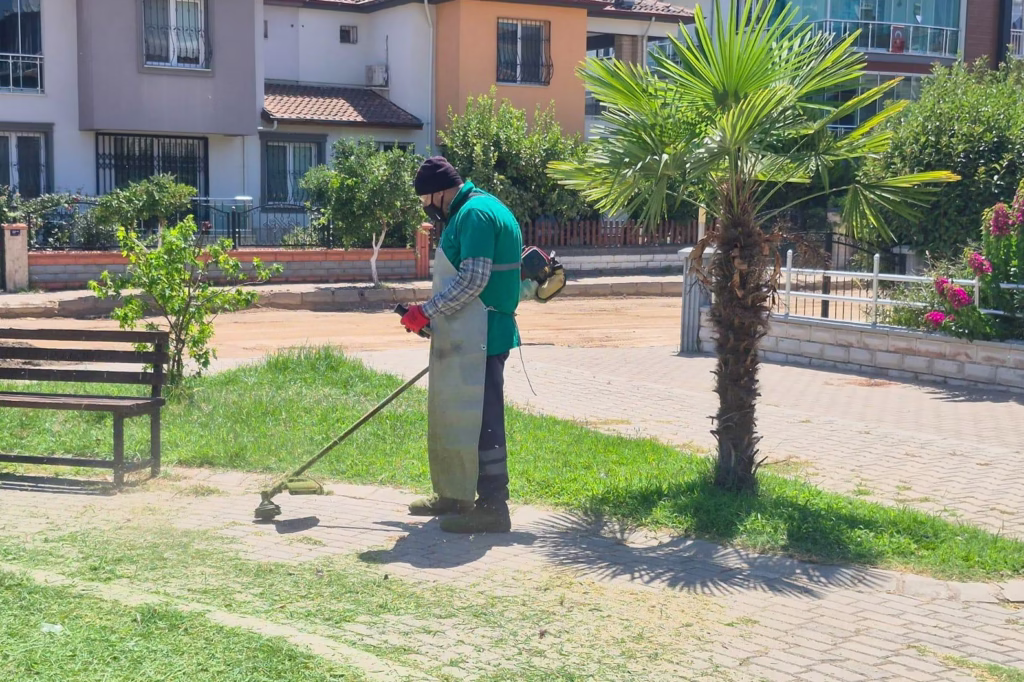 Efeler Belediyesi Mimar Sinan Mahallesi’ndeki parkları bakıma aldı 5 efeler belediyesi mimar sinan mahallesindeki parklari bakima aldi 7f70951f0440