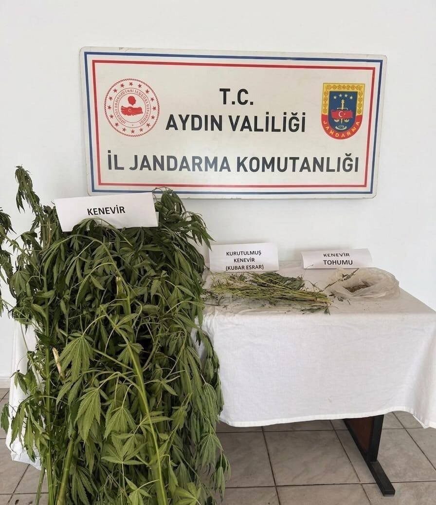 efelerde kenevir operasyonu baf0670205af