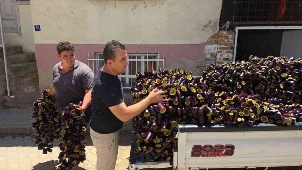 egenin patlican vadisinden tum dunya sofralarina 0b7d2268bbed