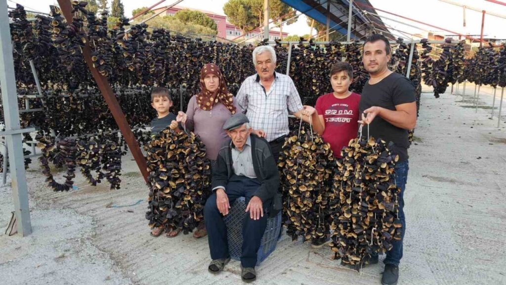 egenin patlican vadisinden tum dunya sofralarina 456f60ecfbb6