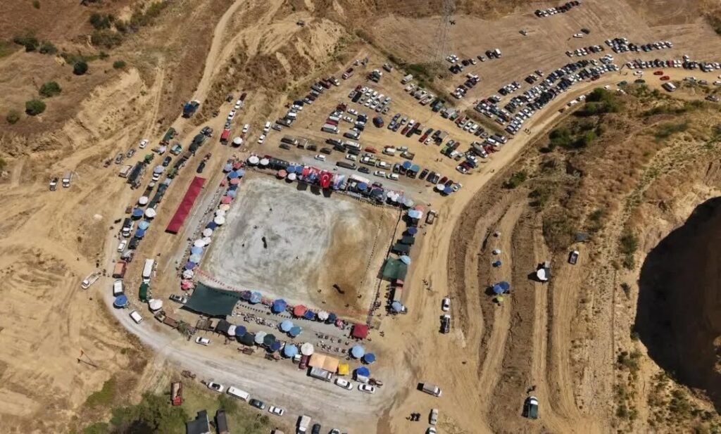 egenin pehlivan bogalari germencikte arenaya cikti a36a9339757f