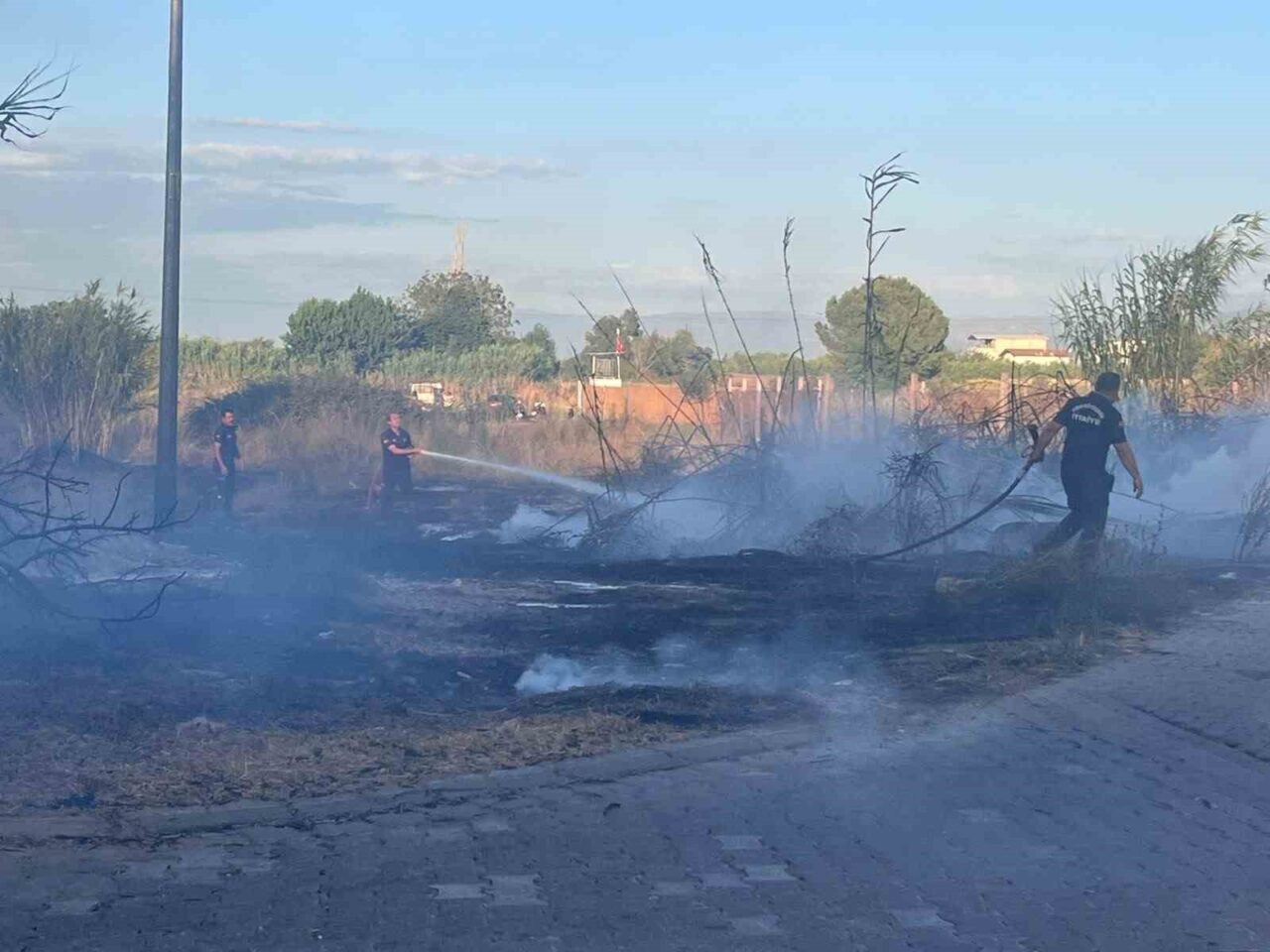 Kuru otlar tutuştu, alevler ağıla sıçradı 5 Kuru otlar tutuştu, alevler ağıla sıçradı