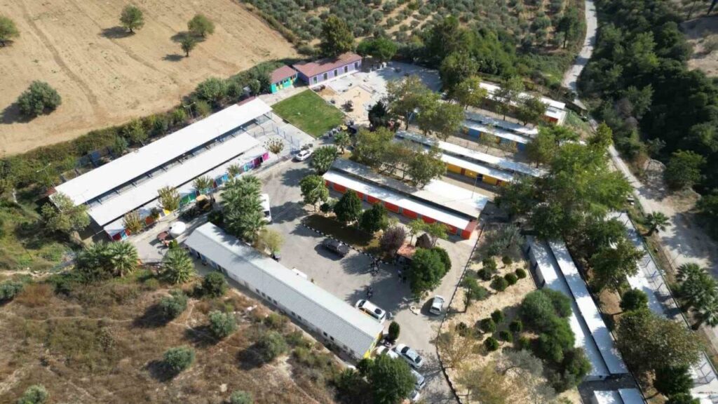kusadasi belediyesi 3 bin 518 sokak hayvanini omurluk yuvasina kavusturdu 8f36c036e40f