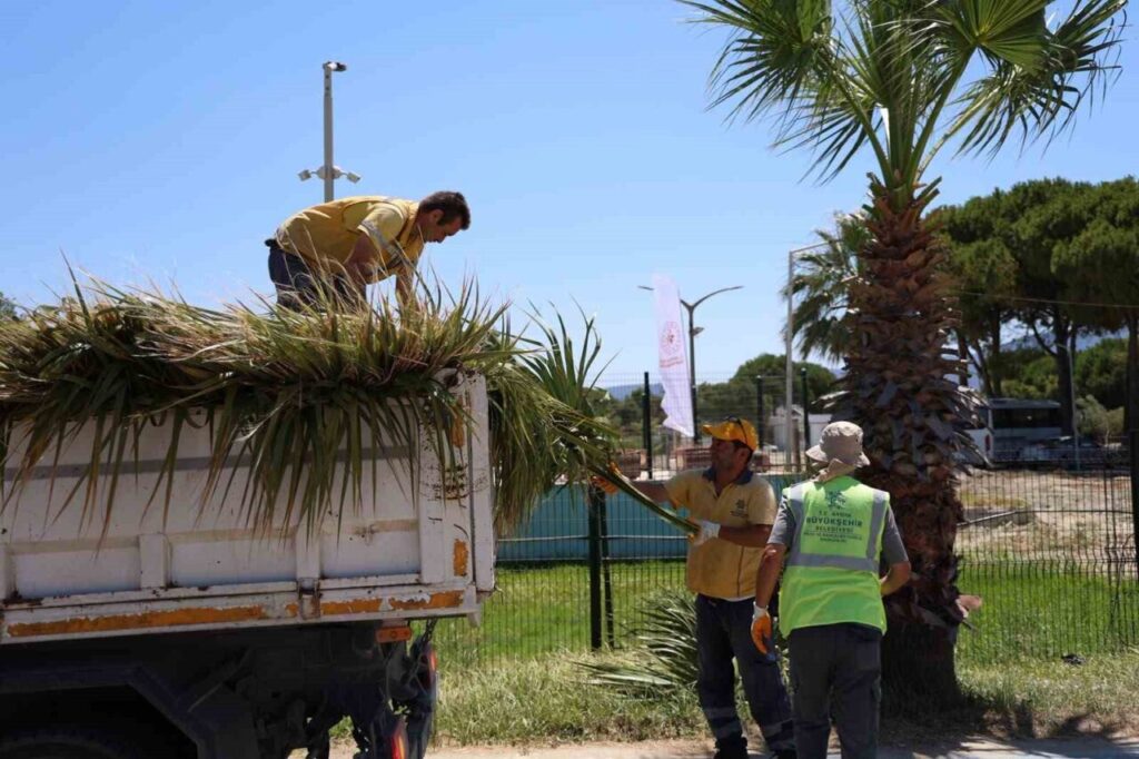 kusadasinda yesil alanlarda kapsamli bakim ve duzenleme calismasi 151d14b9acfe