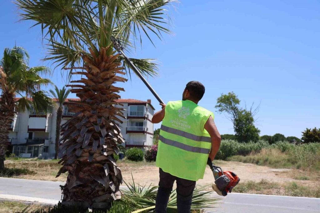kusadasinda yesil alanlarda kapsamli bakim ve duzenleme calismasi 649f67227230