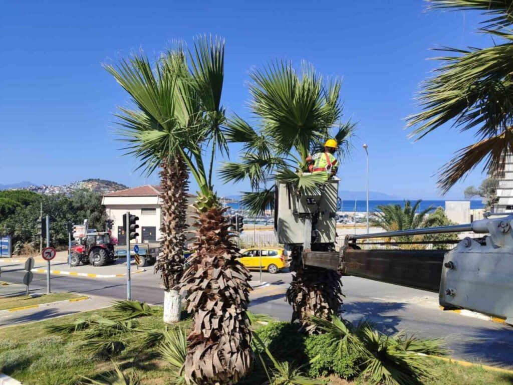 kusadasinda yesil alanlarda kapsamli bakim ve duzenleme calismasi a57bf3f73bb6