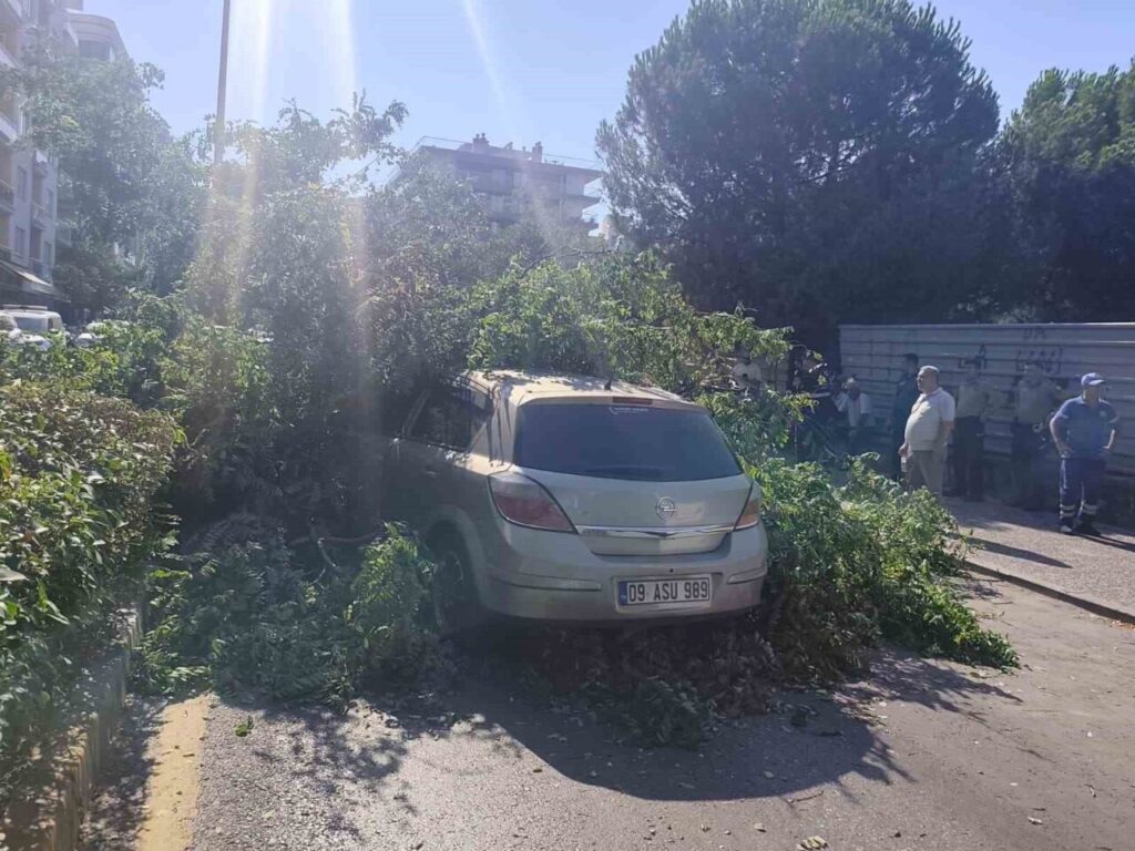 seyir halindeki otomobilin uzerine agac devrildi 102307c309fa