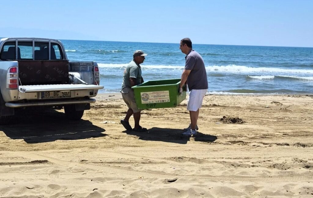 uremek icin geldikleri kiyilarda 3 caretta caretta olu bulundu 2d564d74de9e