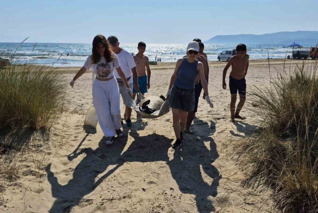 uremek icin geldikleri kiyilarda 3 caretta caretta olu bulundu bfa268ecbd33