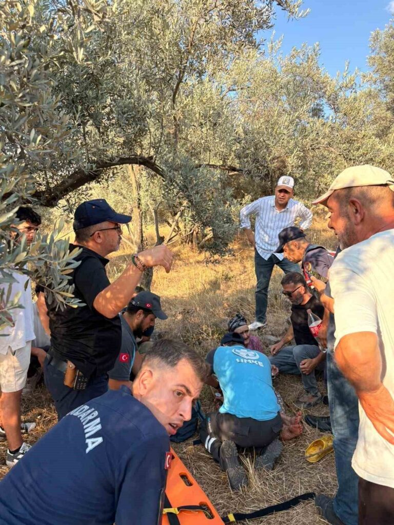 yasli adam 11 saatlik calismanin sonunda bulundu d8eaf4a11676