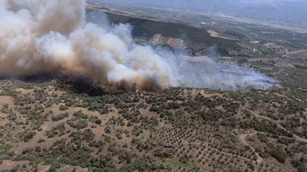 Yazıkent’te yangını büyüten rüzgar bugün de etkisini sürdürecek