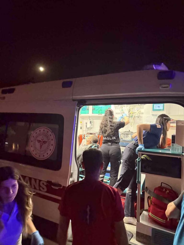 Aydın'daki yangında acı bilanço: 2 kişi dumandan etkilendi, 100 dönümlük alan kül oldu 2 zeytinlik alanda cikan yanginda 200 zeytin agaci kule dondu 007e369a673a