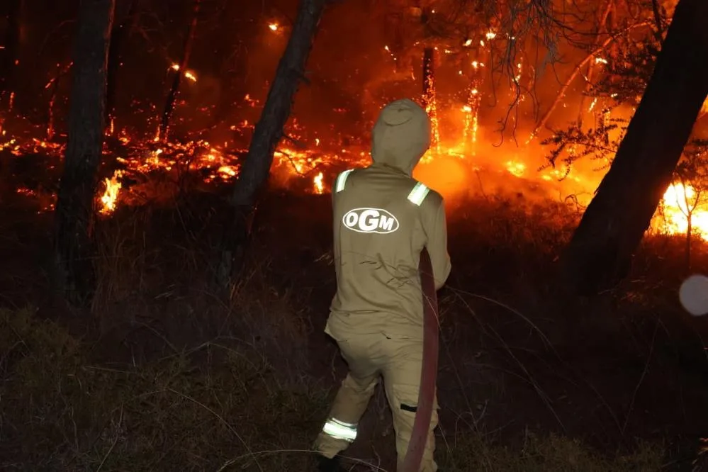 Orman yangını evlere sıçradı, tahliye çalışmaları sürüyor