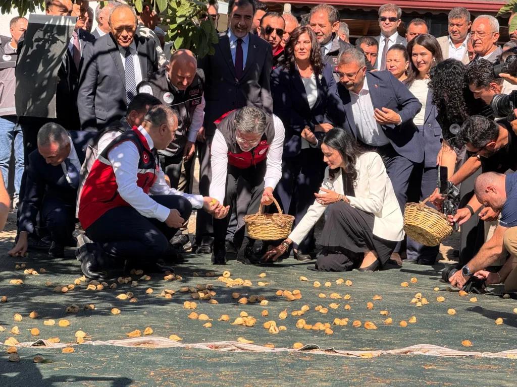 Bakan Yumaklı'dan incire özel Aydın ziyareti: Hasada katıldı 3 WhatsApp Image 2026 08 31 at 10.05.52 1