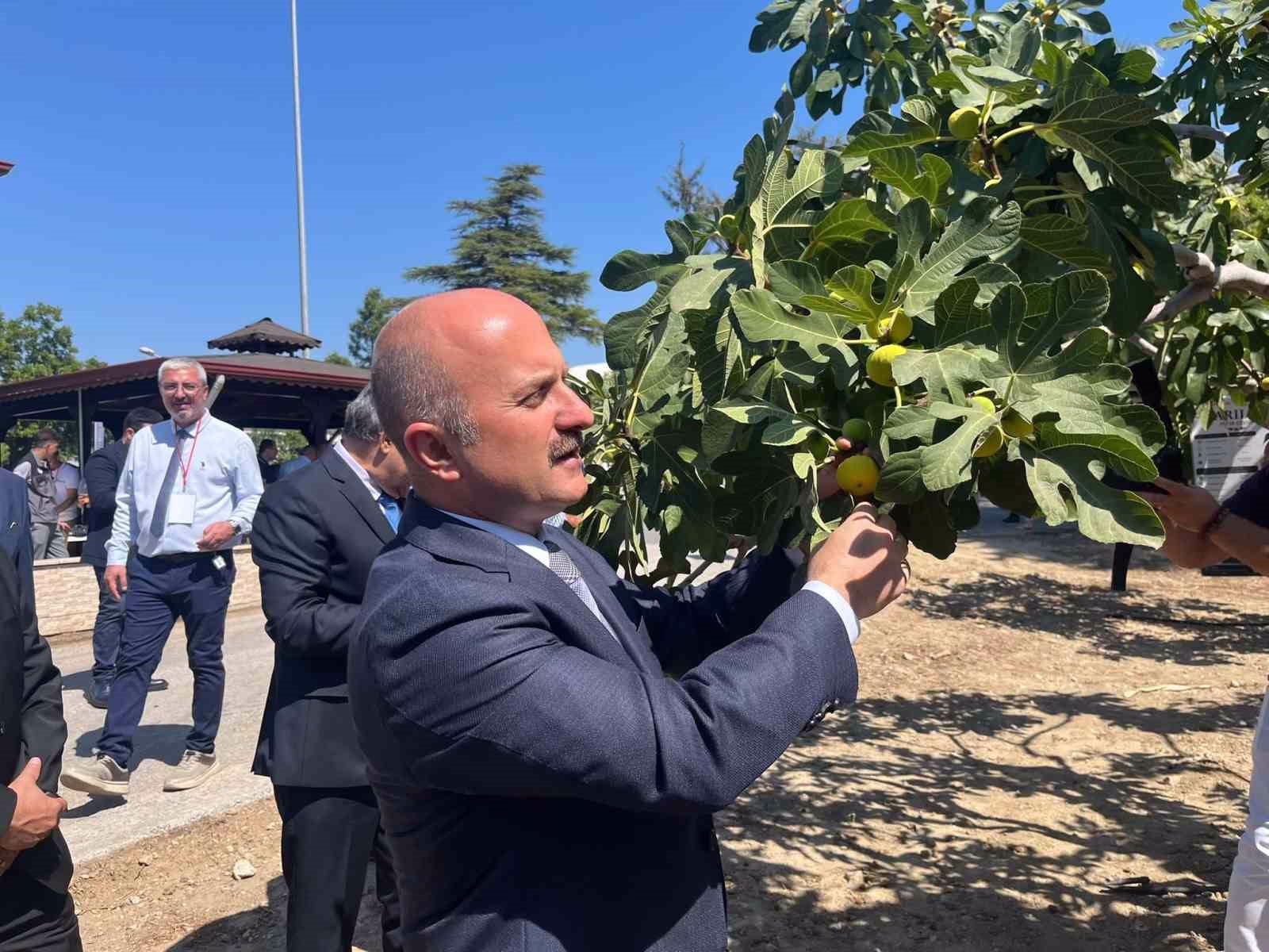 Aydın’a 100 milyonluk yatırım