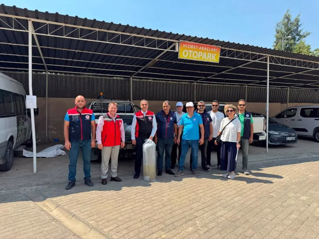 Aydın’da 535 bin sazan suyla buluştu