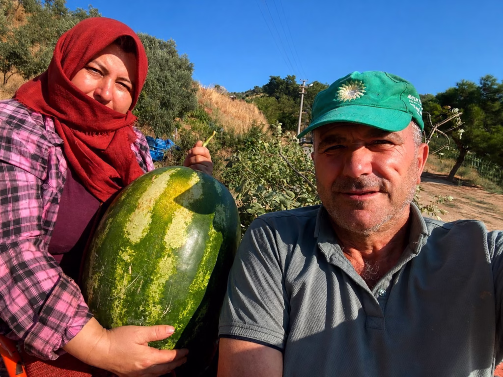 aydinda 550 rakimda karpuz ve balkabagi yetistiriyorlar 6daca2d24b06