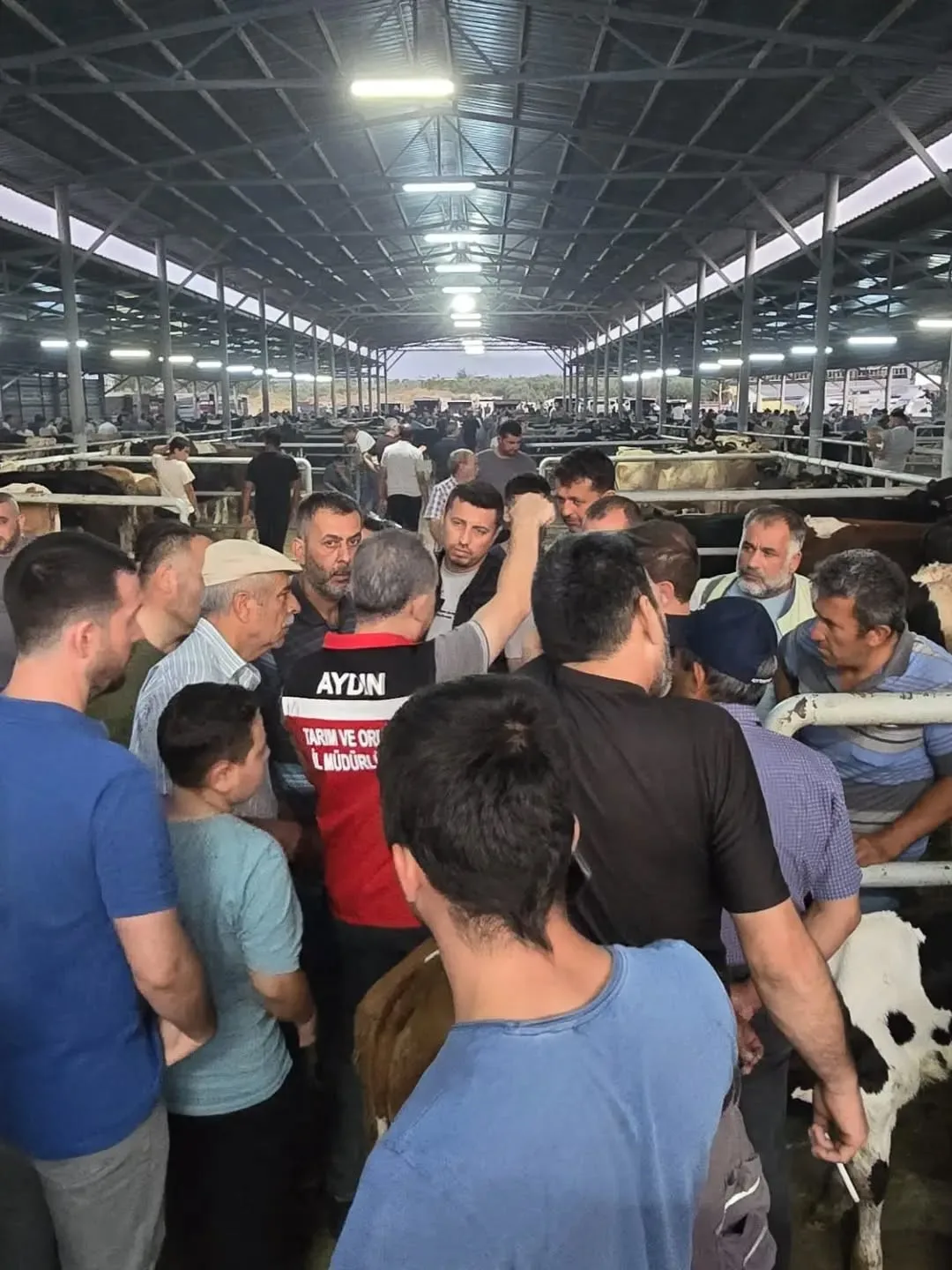 Aydın’da hayvan pazarlarında sıkı denetim