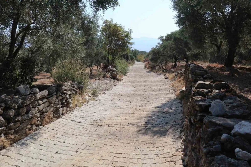 Bozdoğan Belediyesi üstyapı çalışmalarına devam ediyor 2 bozdogan belediyesi ustyapi calismalarina devam ediyor 1d81d0217110