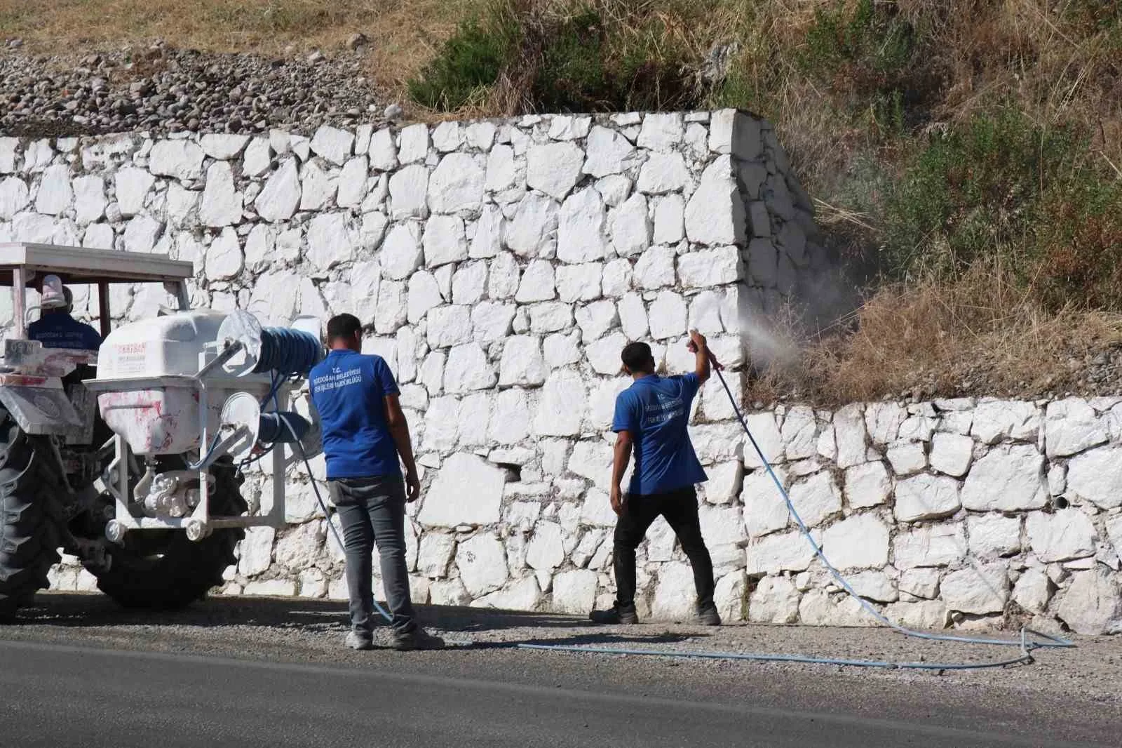 bozdoganda hasereyle mucadele suruyor 18c11b1db624