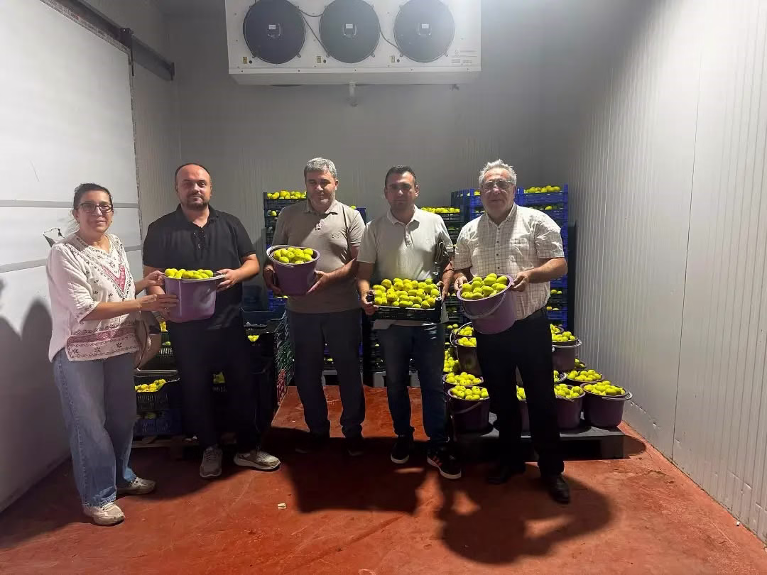 Buharkent’te incir bahçeleri ve alım noktalarında Fusarium denetimi