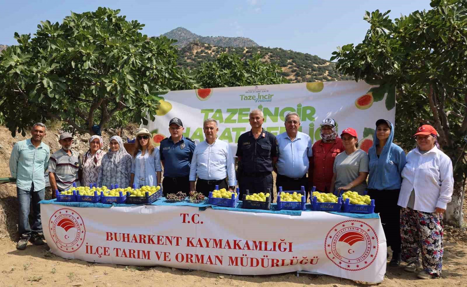 Buharkent’te taze incir hasadı başladı