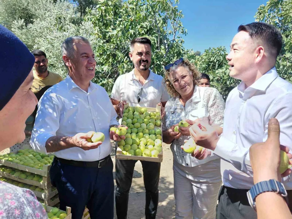 cinli fenomen cift aydin incirine hayran kaldi fd6c7abf72c1