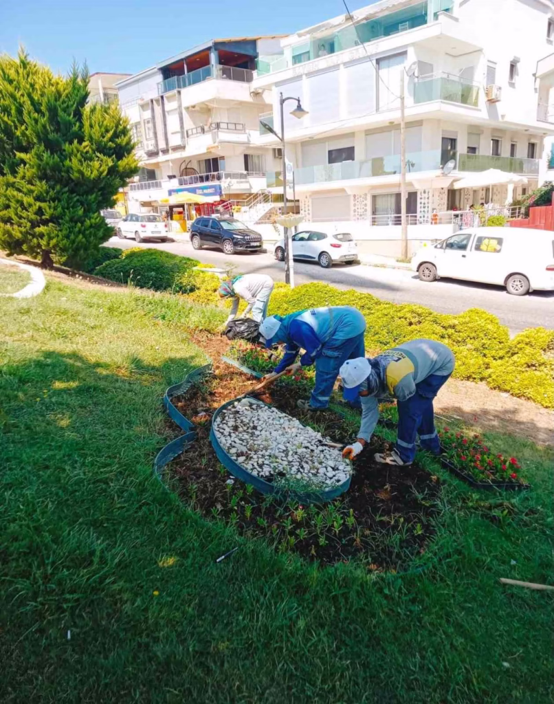 didim belediyesi yesil alanlar icin kendi bitkisini uretiyor d4b3c2ebf885