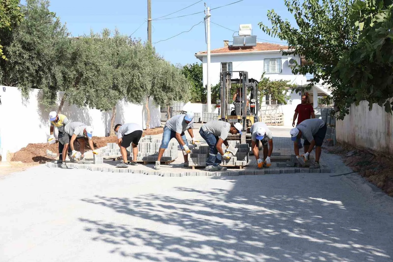 Didim Belediyesi’nden Denizköy’de kapsamlı çalışma